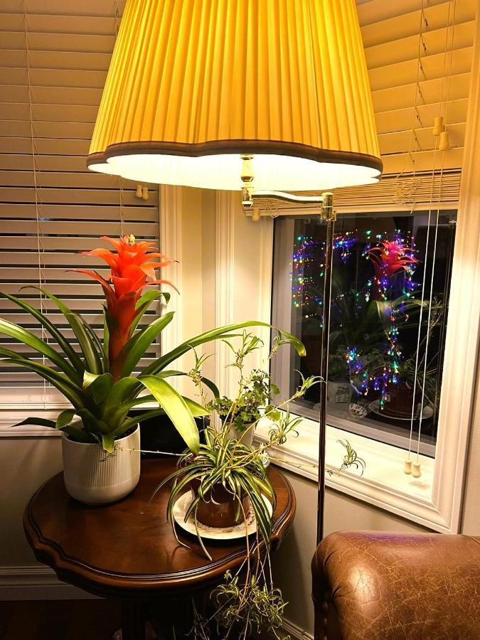 Lovely Comfy Home Private Bath In Central YYC Екстериор снимка